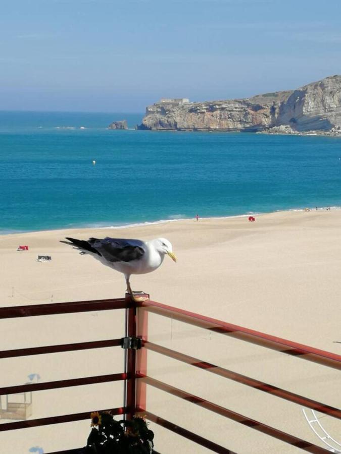Dream Holiday -Beautiful Spot Nazaré Exteriér fotografie